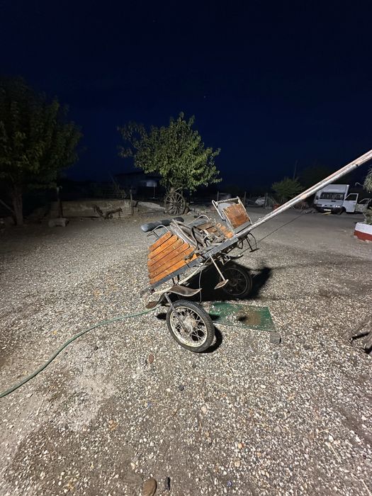 Charrete com Arreios