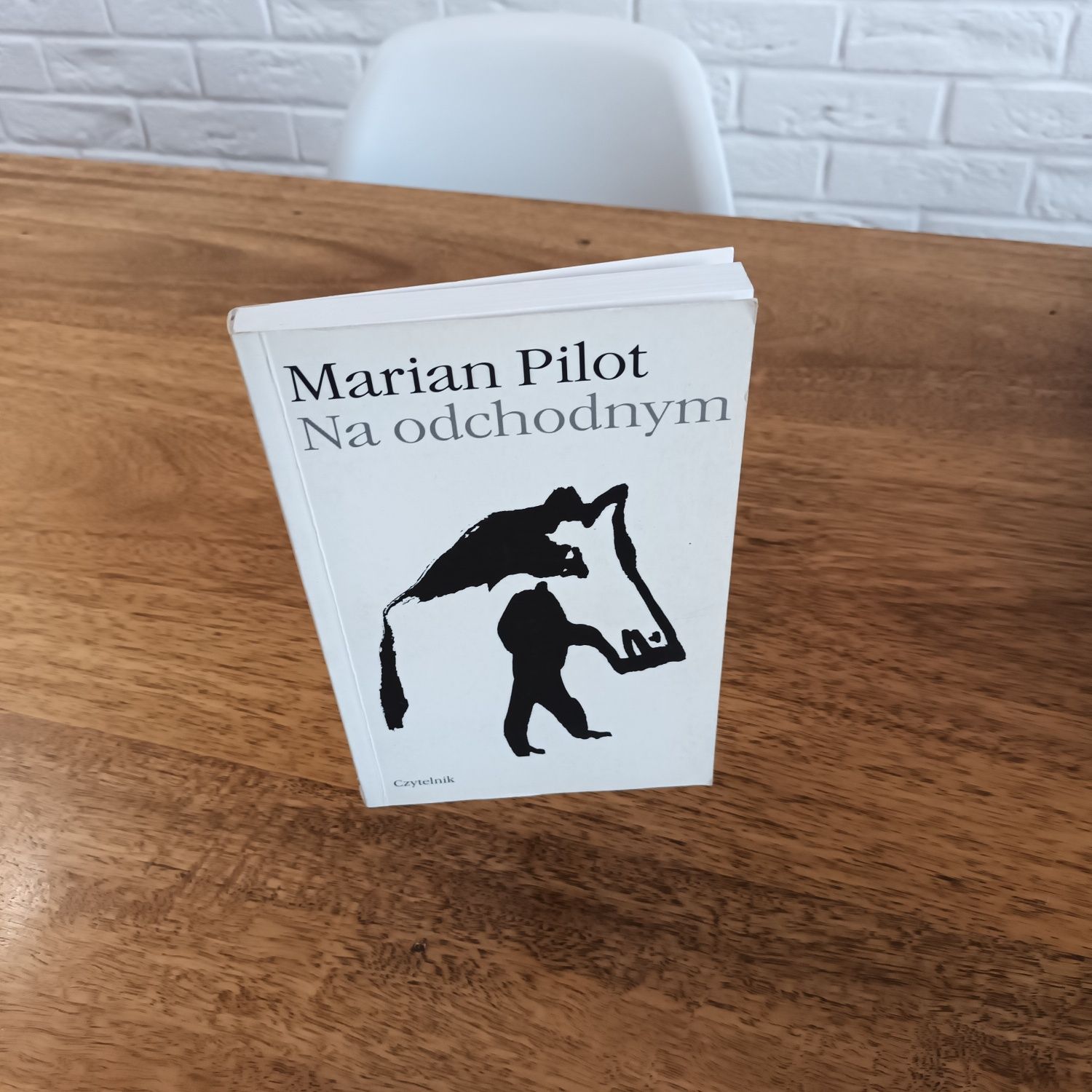 Marian Pilot  Na odchodnym