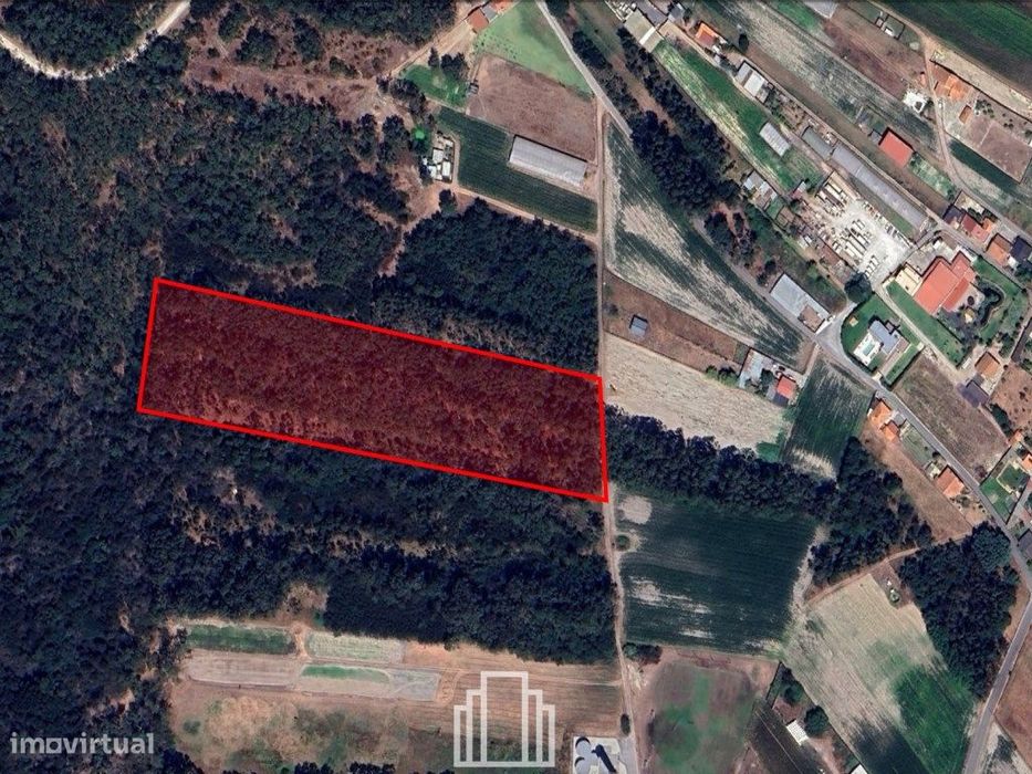 Terreno Rústico - Quintas do Norte, Torreira