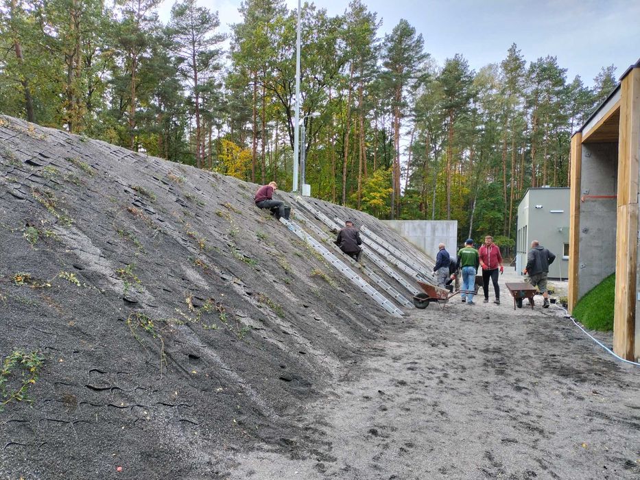 Drzewa, sadzenie drzew, nasadzenia zastępcze, klon, dąb, lipa, wiśnia