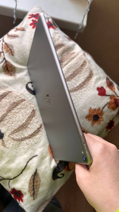 Ipad Pro 10.5 256Gb Wi-fi