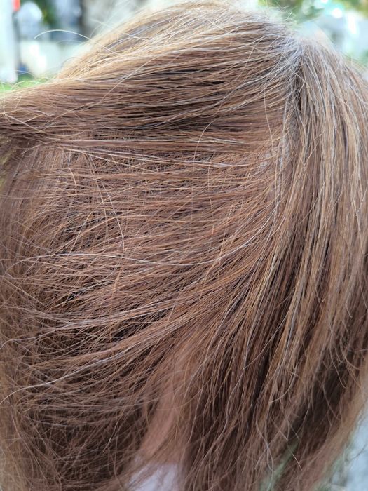 Descubra a cabeça de manequim ideal para treino e diversão!