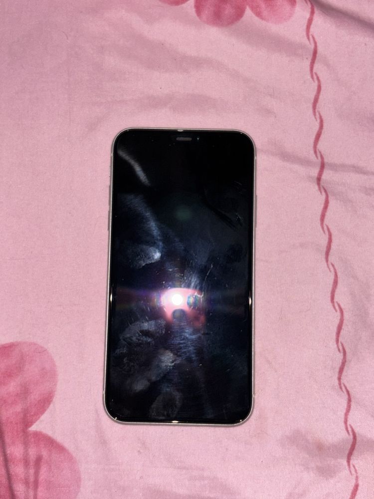 iPhone 11 em Muito Bom Estado