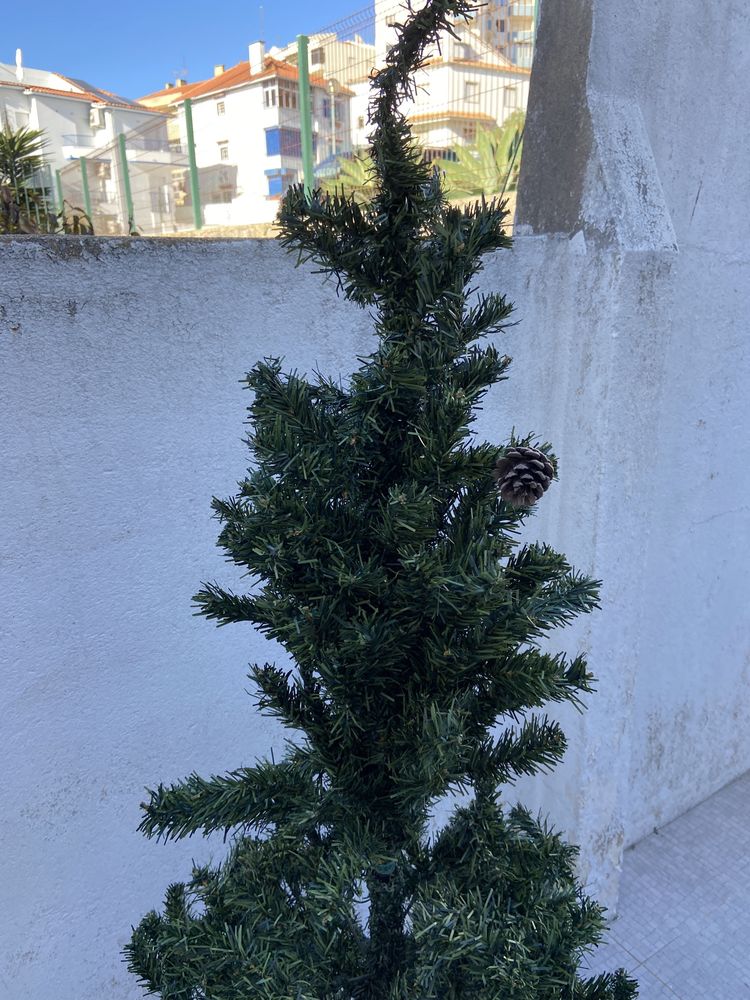 Árvore de Natal em bom estado