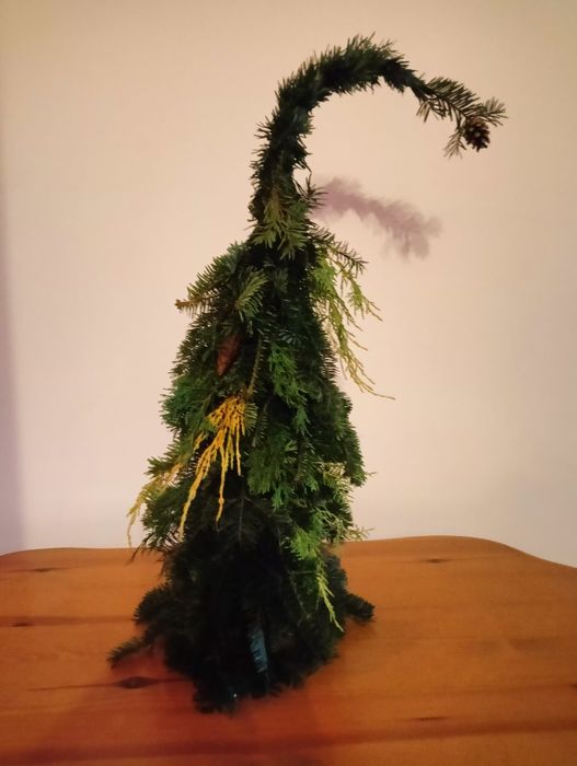 Choinki z  jodły