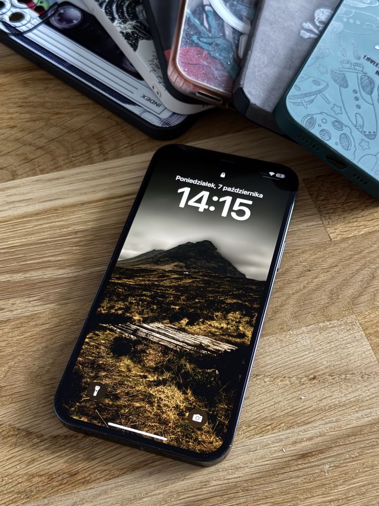 iPhone 12 Pro Max 256