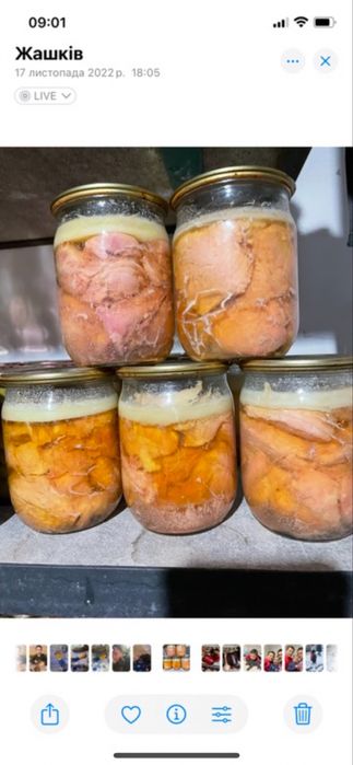 Домашня куряча тушонка