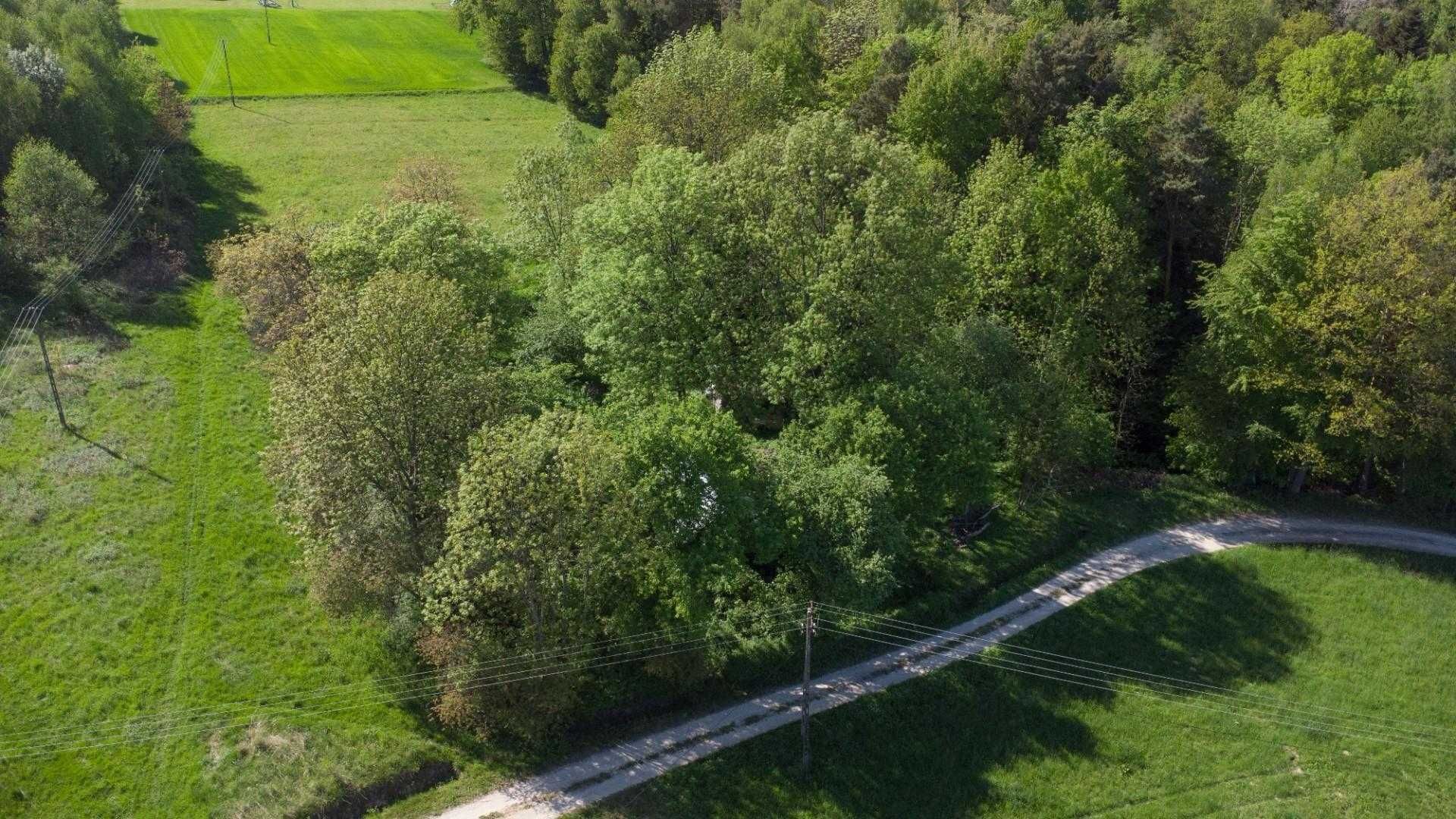 Sprzedam działkę 70ar w spokojnej okolicy, 15 min od jasła