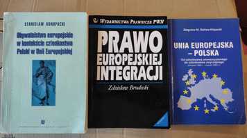 Prawo europejskiej integracji Rada Europy Unia Europejska