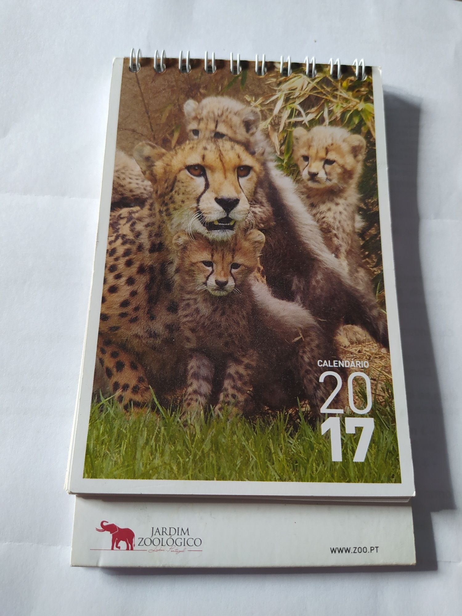 Calendário animais jardim zoológico