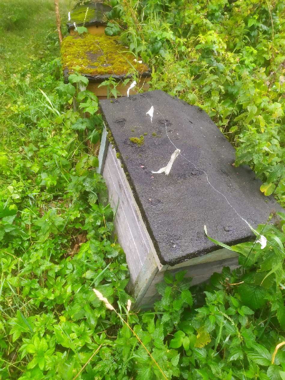 Sprzedam ule bez pszczół