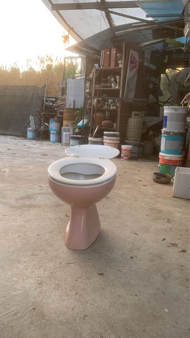 Sanita cor de rosa com tampa