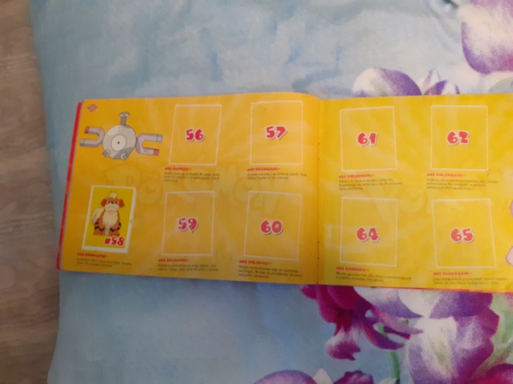 Album Pokemon Moja kolekcja Chipita Złap je wszystkie pusty