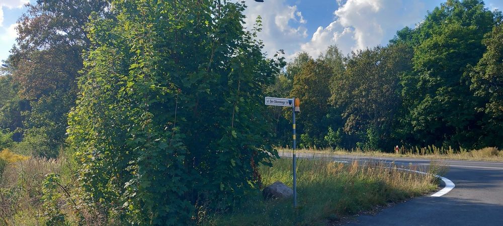 działka budowlano inwestycyjna z zjazdem z drogi krajowej nr.92