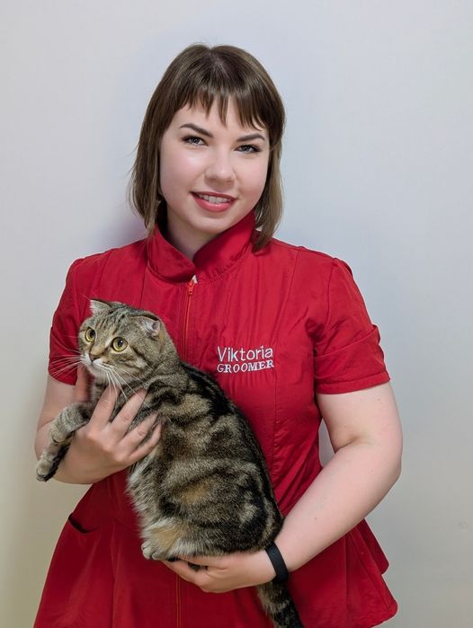 Послуги грумінгу, грумінг, грумер, стрижка котів собак