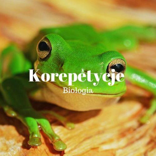 Korepetycje z Biologii
