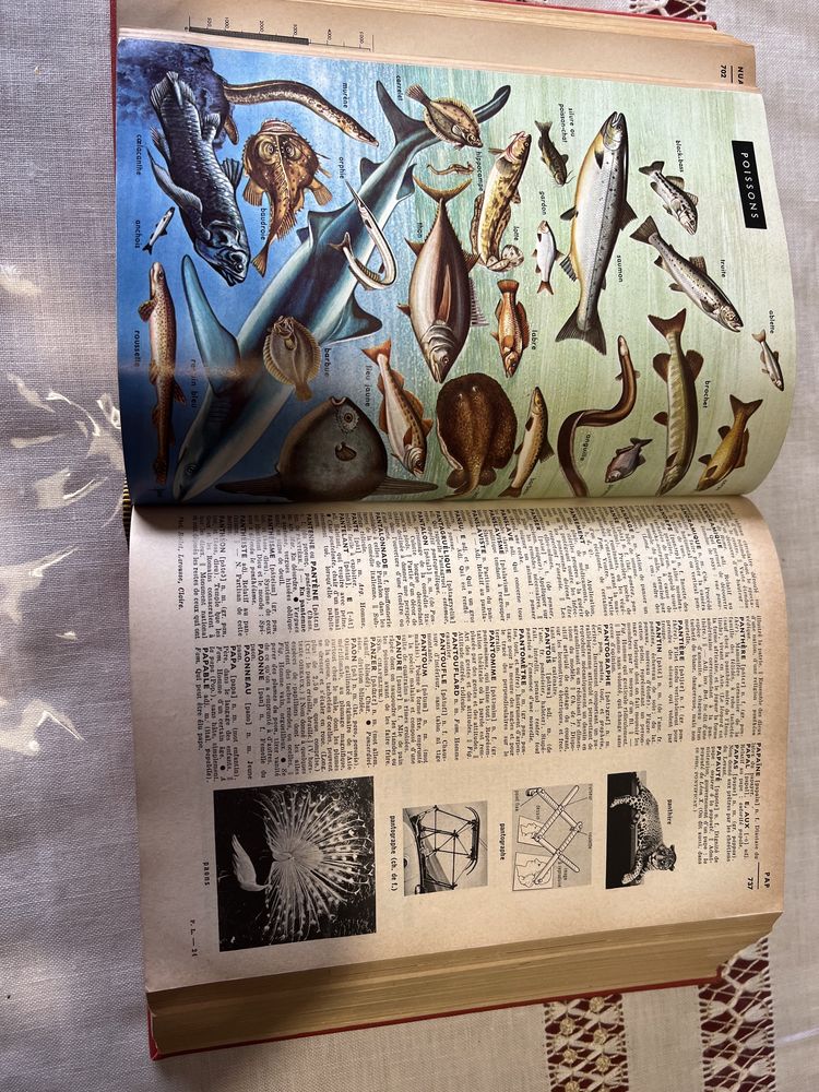 Vintage 1968 NOUVEAU PETIT LAROUSSE, French Dictionary Encyclopedia, Illustrated, Paris