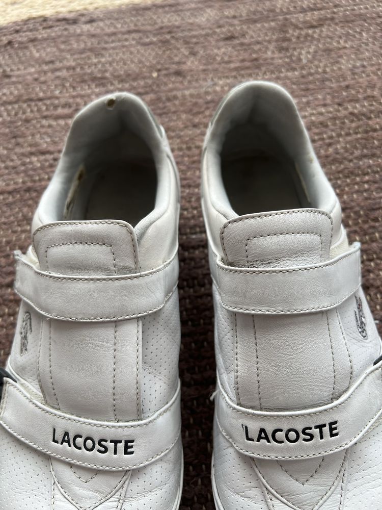 Tenis branco > Lacoste
