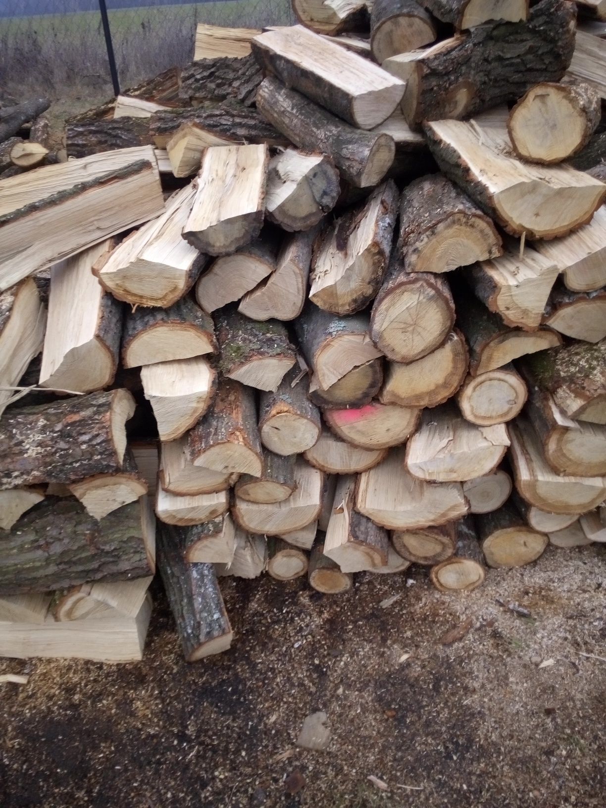 Drewno kominkowe dębowe sezonowany
