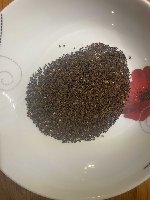 Facelia ekologiczna czystość 97%