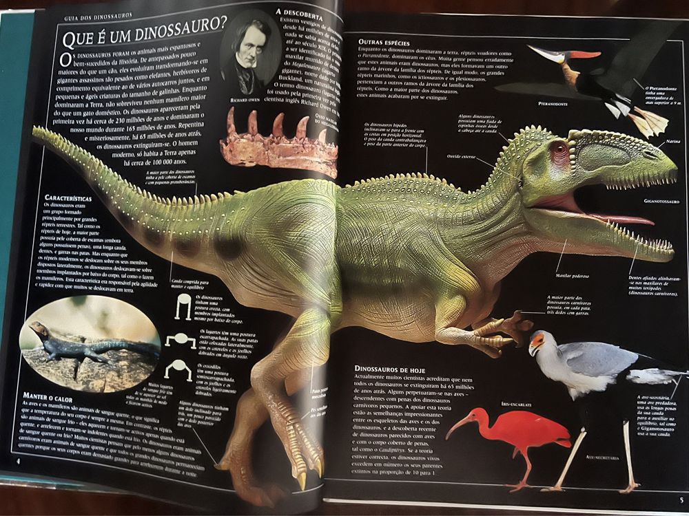 Livro Guia dos Dinossauros