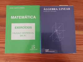 Matemática e Álgebra Linear