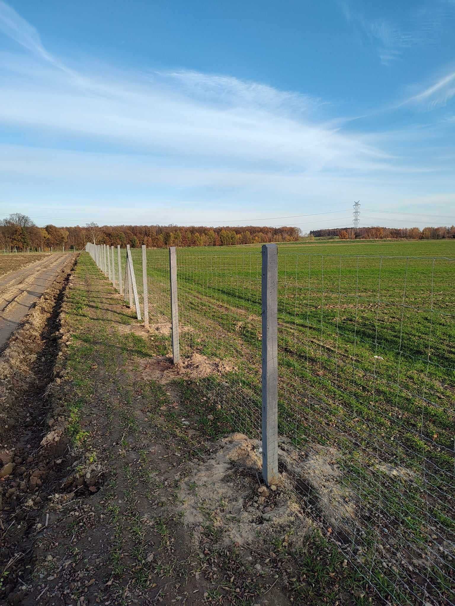 Słupki ogrodzeniowe Słupki betonowe słupki do siatki