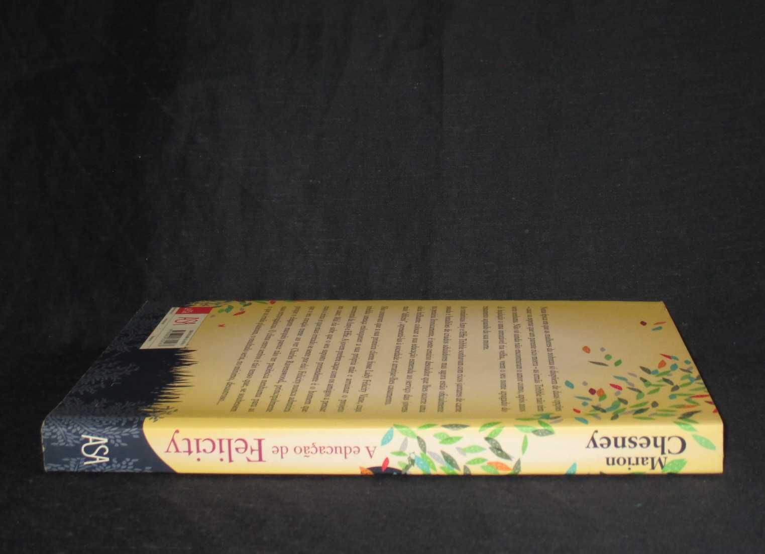 Livro A Educação de Felicity Marion Chesney