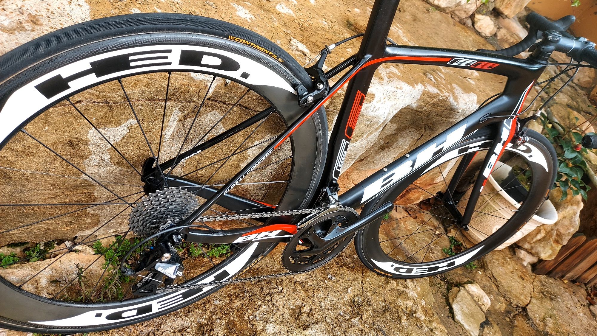 BH G6 Global Concept carbono t55