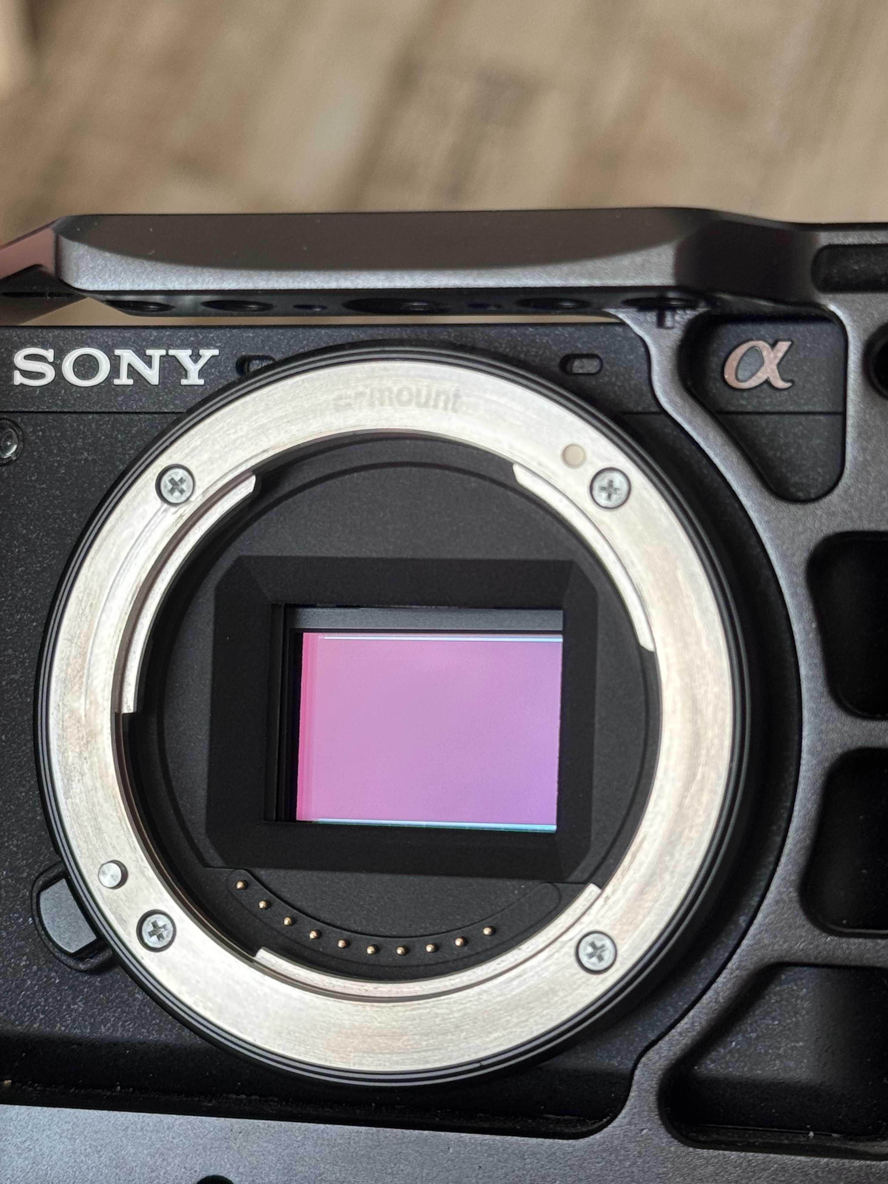 Sony A6600 + 18-135 OSS + Аксессуары | Идеальное состояние