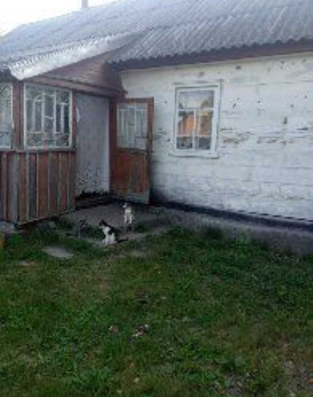 № 13559 - Будинок, Левків. 3 кімнати, потрібен ремонт. Ділянка 32 сот.