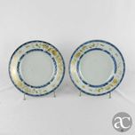 Par de Pratos, China, decoração  “bianco sopra bianco” Qianlong XVIII
