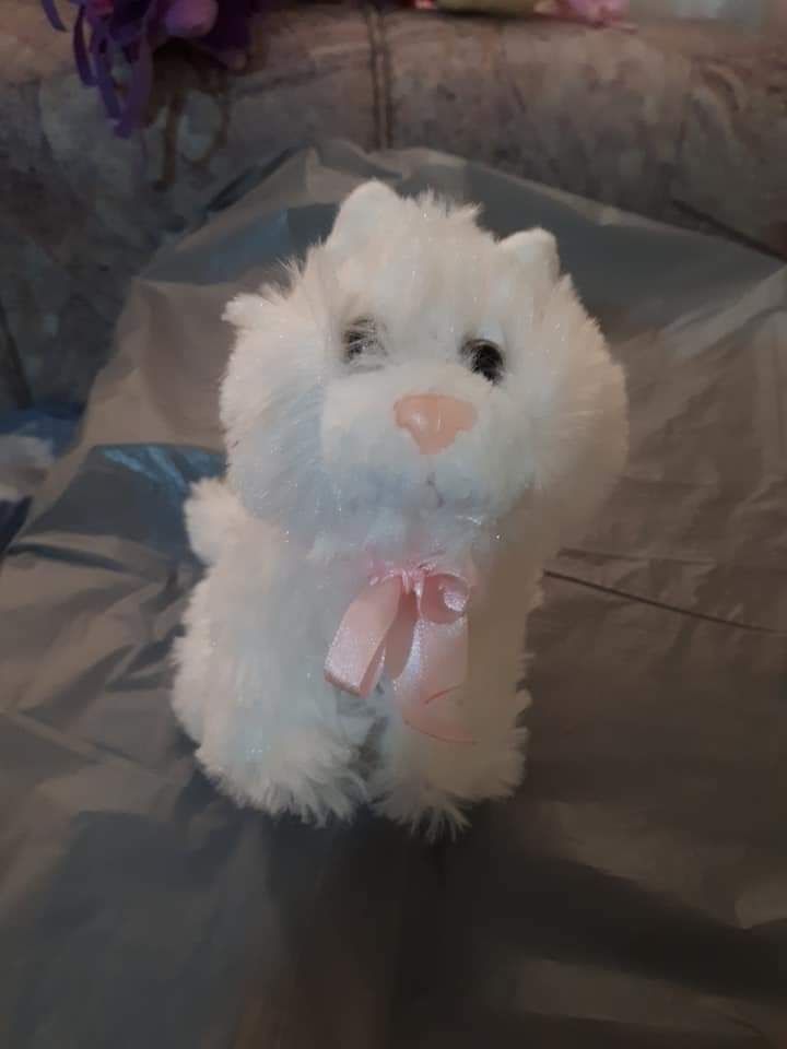 Peluches pequenos