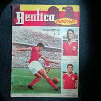 Benfica ilustrado