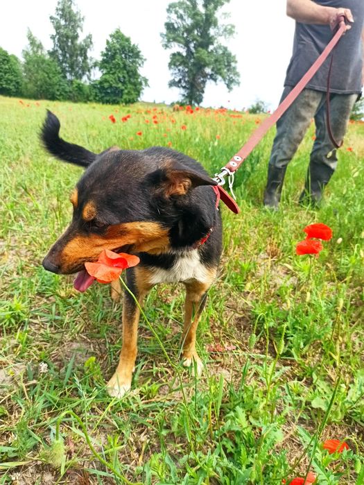 Хлопчик 3роки, Херсон