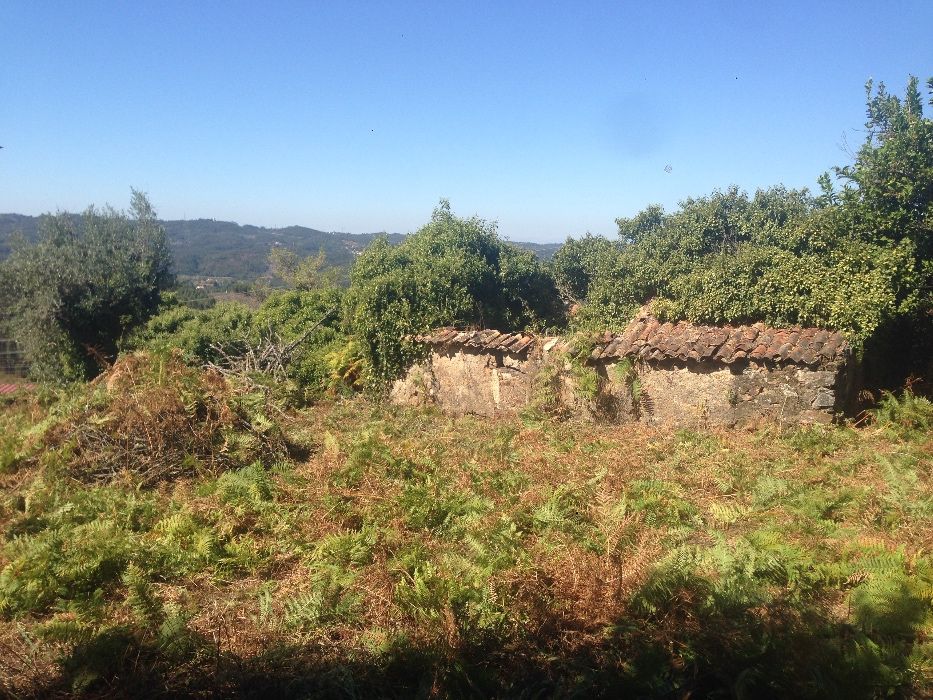 Casa para restauro com terreno em aldeia de Penela
