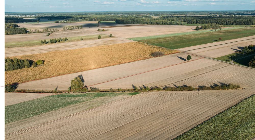 Piękna działka 1,2102 ha z dojazdem asfaltem – Paskudy, Ulan-Majorat