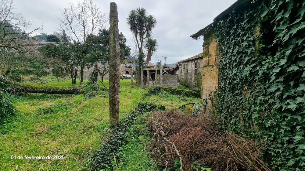 Quinta para restaurar 3.000m a 3km praia fluvial Cabeça Santa Penafiel