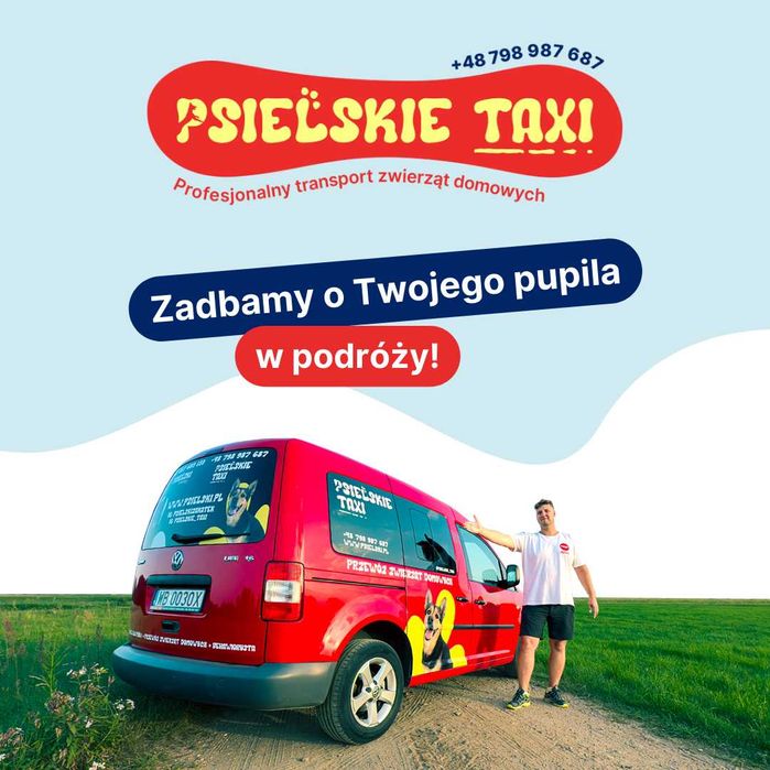 Transport zwierząt domowych | Taxi dla psa - Legalnie i bezpiecznie!