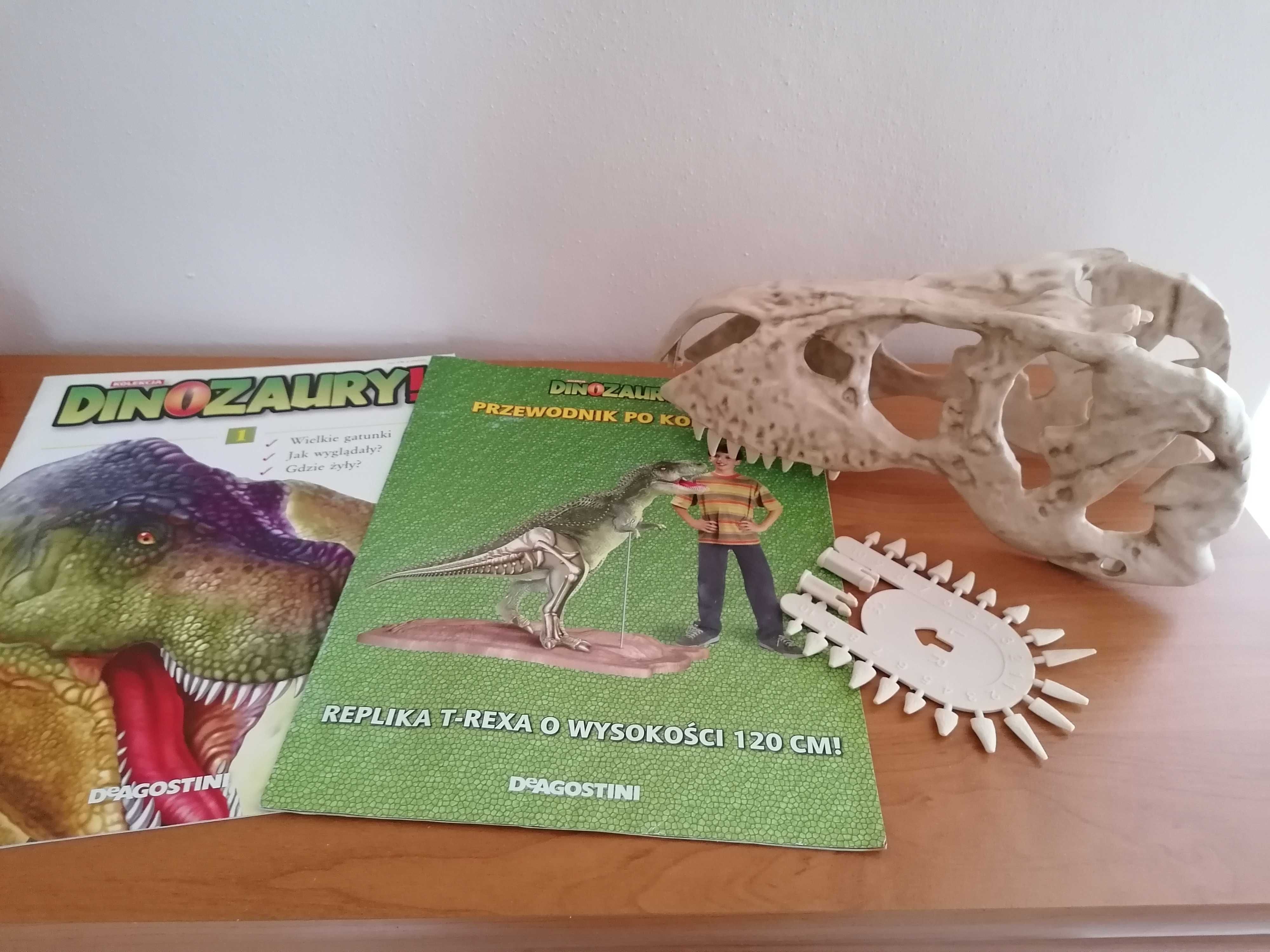 Dinozaury, replika szczęki T-Rexa + gazetki