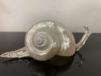 Caracol em concha natural e prata de lei