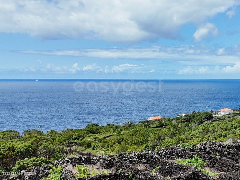 Terreno com Vinhas, Vista Mar e Viabilidade de Construção, Lajinha ...