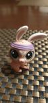Littlest Pet Shop  króliczek