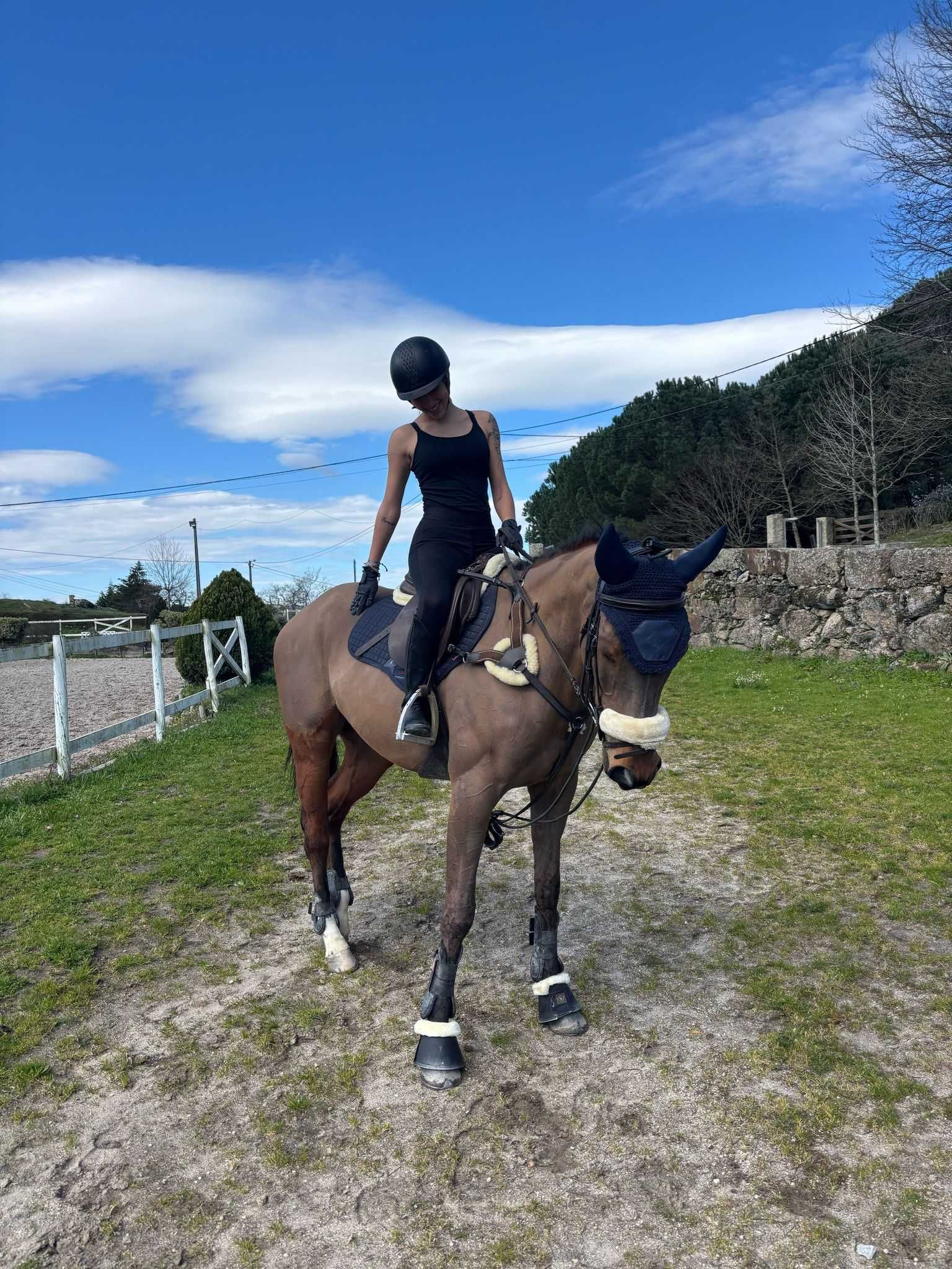 Cavalo PSI para venda