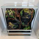 Terrarium z wodospadem dla jaszczurki z pełnym wyposażeniem, AquaWaves
