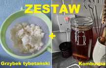 ZESTAW grzybek tybetański + grzybek herbaciany | PROBIOTYKI B12 DETOKS