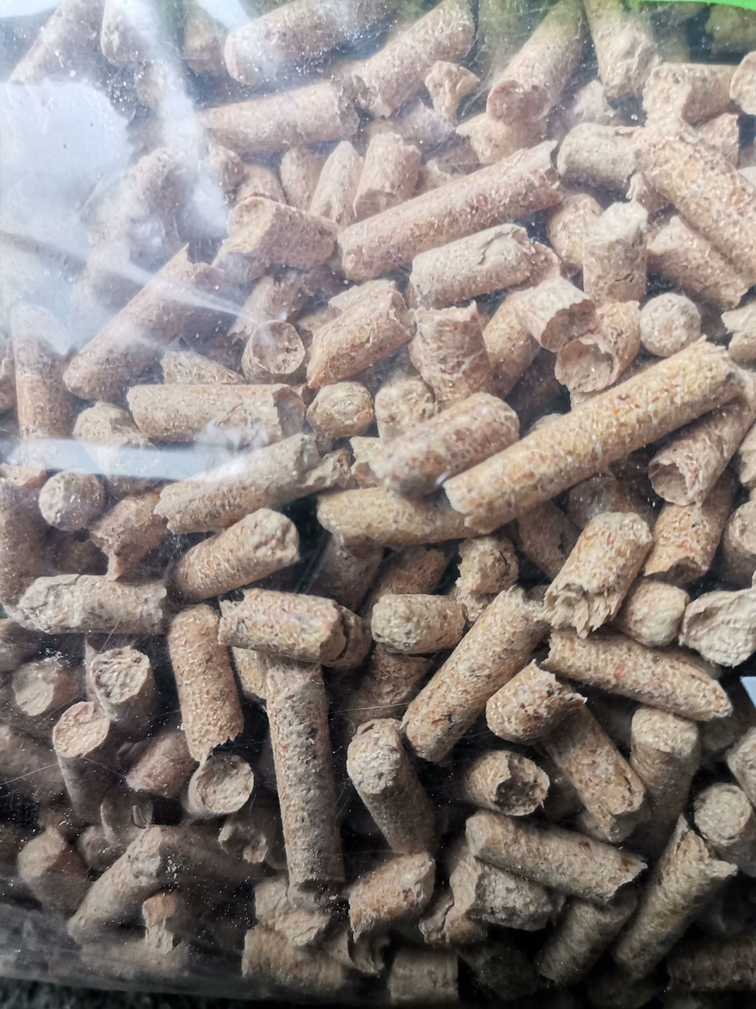 Pellet  drzewny A1