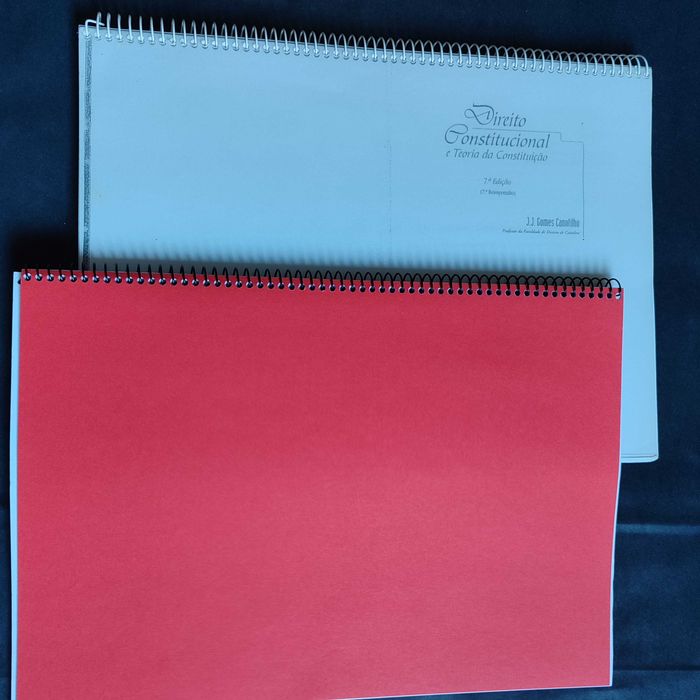 Direito Constitucional e Teoria da Constituição + outros apontamentos