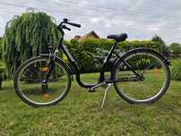 Rower damka 28" PERFORMANCE special bike