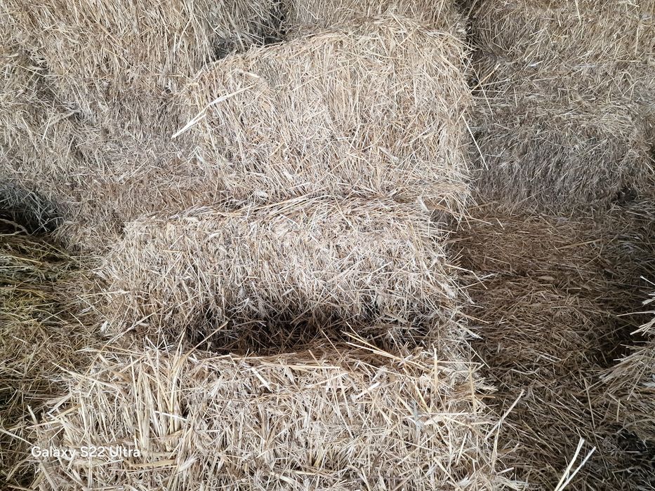 Sloma że stodoly / kostka /słoma /siano